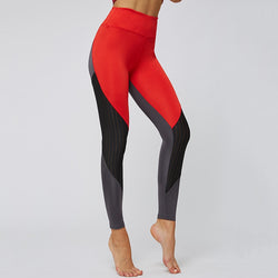 Cicatrize Hollow Stripped Athleisure