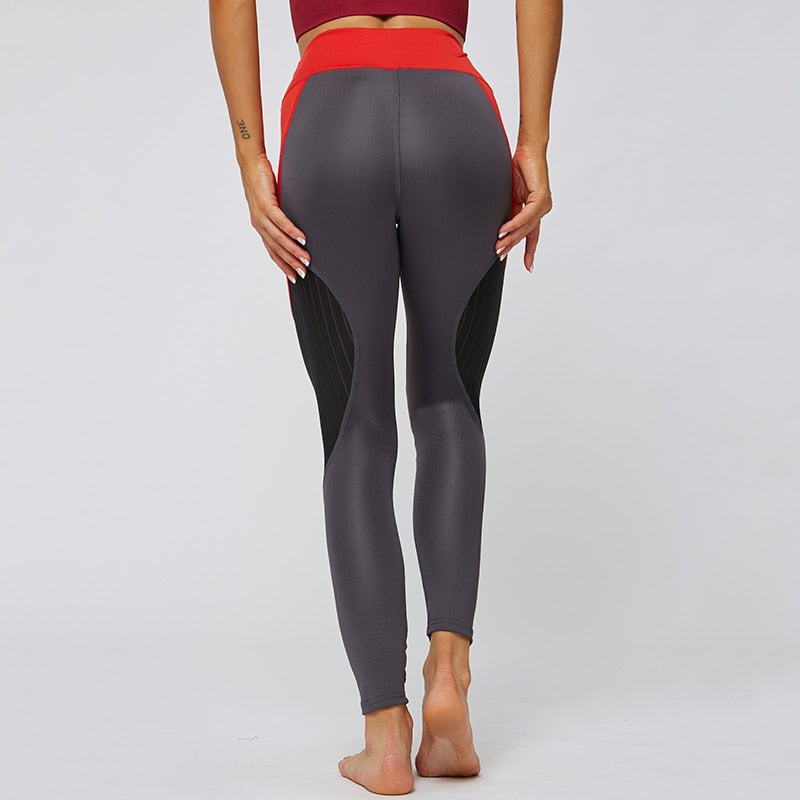 Cicatrize Hollow Stripped Athleisure