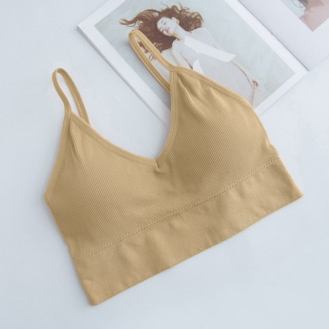 Low Impact Sports Bra