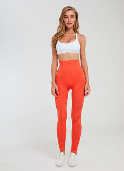 orange seamless activewear